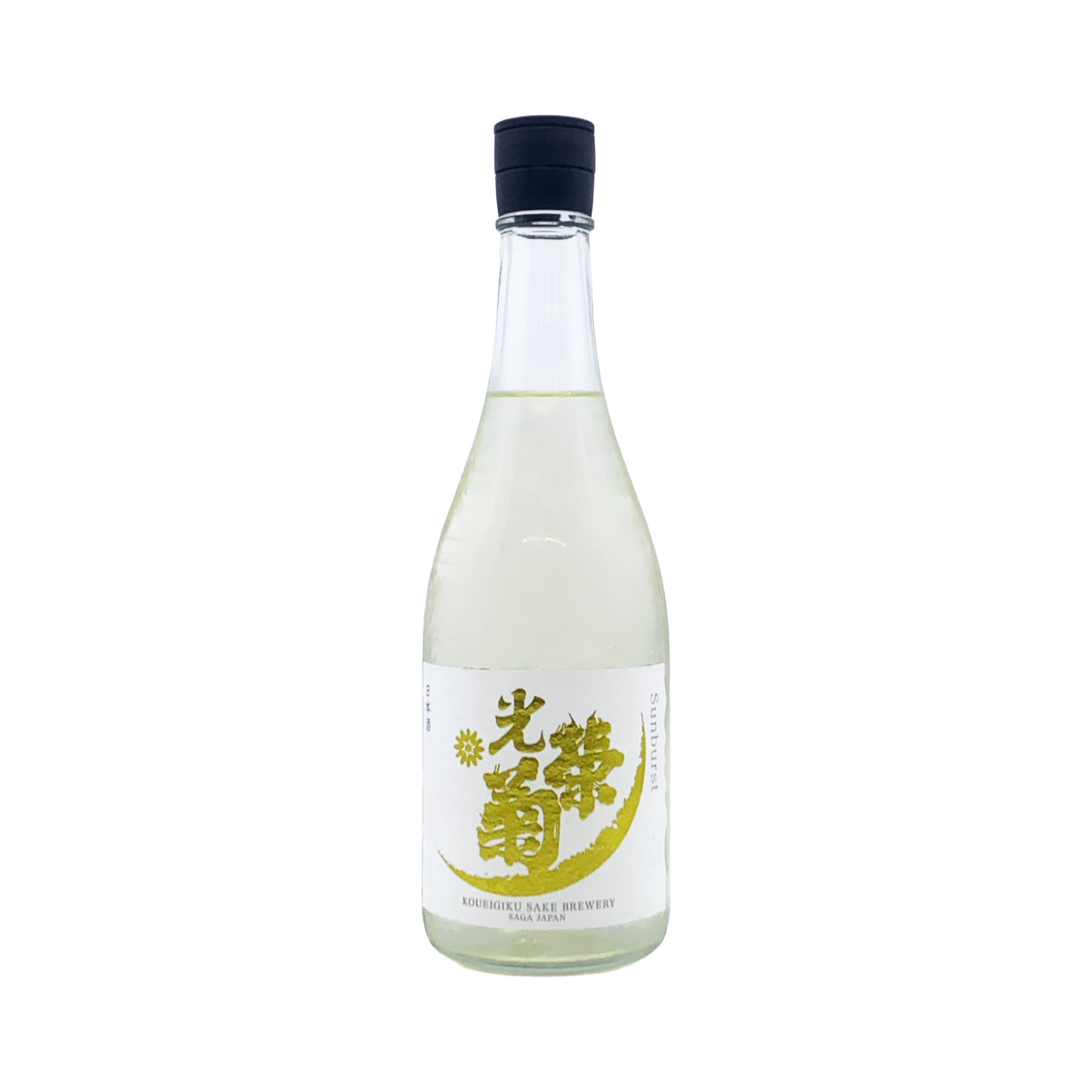 光栄菊 Sunburst サンバースト