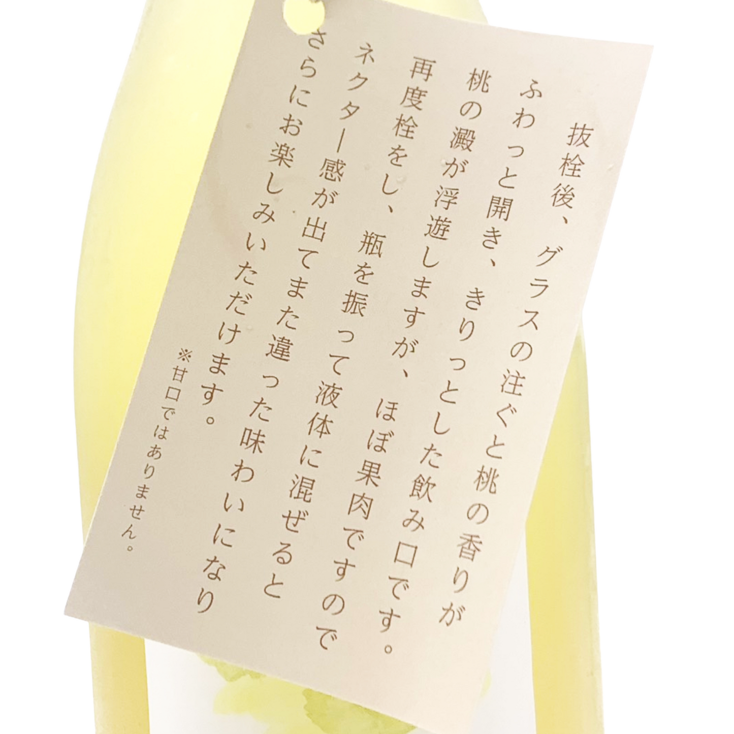 GRAPE SHIP Peshu2025泡 fromなんば