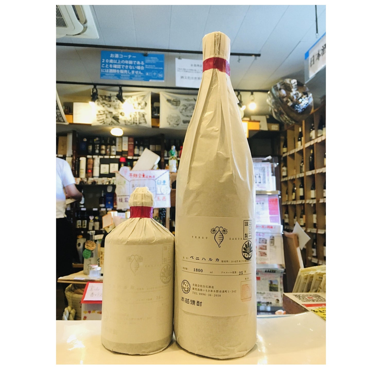 25° 天狗櫻 ベニハルカ2021年