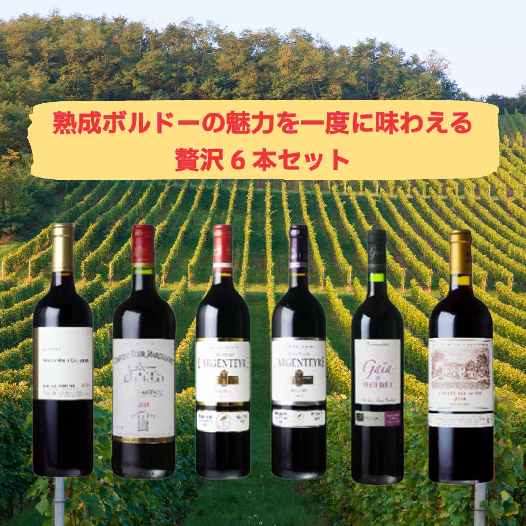 【新春特別価格!】ソムリエ厳選 熟成ボルドーの魅力を一度に味わえる贅沢6本セット