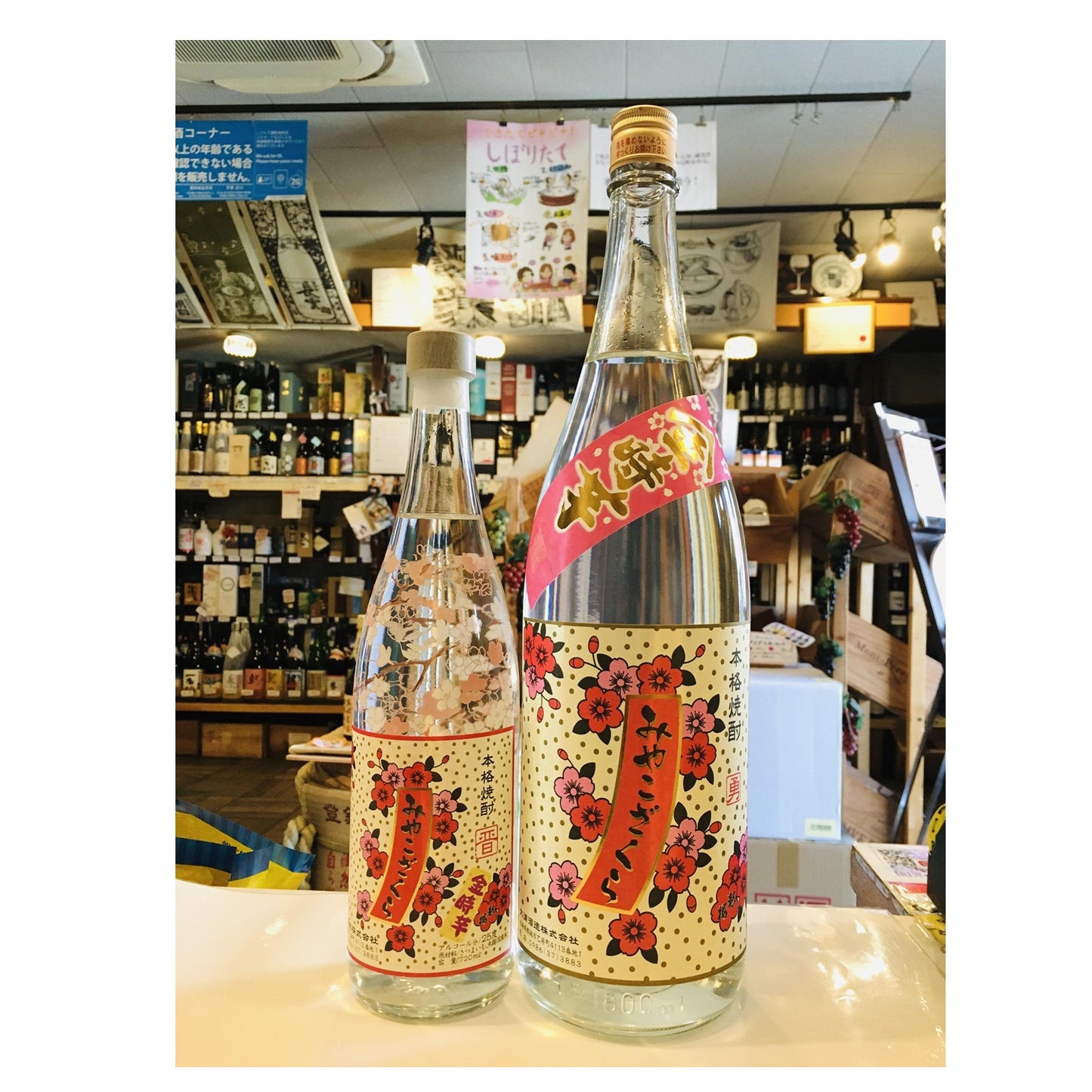 みやこざくら 金時芋