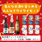 【送料500円OFF】色んなお酒が楽しめる みんなでワイワイセット