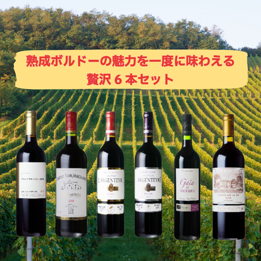 【新春特別価格！】ソムリエ厳選 熟成ボルドーの魅力を一度に味わえる贅沢6本セット